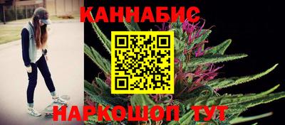 Альфа ПВП Обь