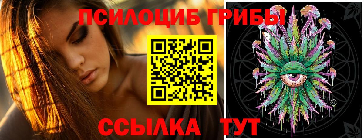 Галлюциногенные грибы Psilocybe  Вход с VPN  Сегежа 